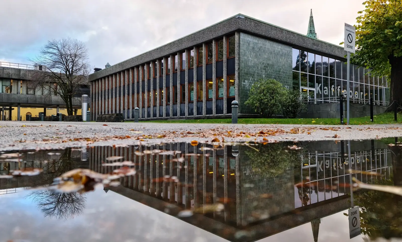 universitetet i bergen foto signe nilssen