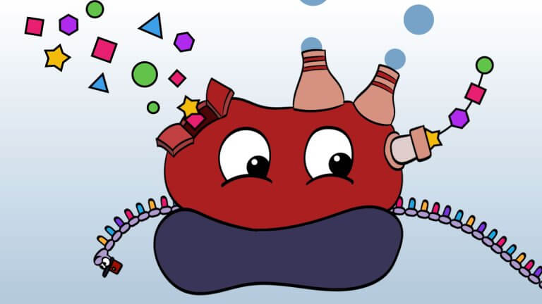 Animasjonsfilmen om DNA og proteinsyntesen