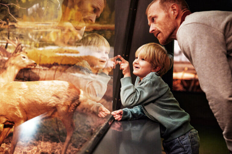 En liten gutt på museum sammen med faren sin