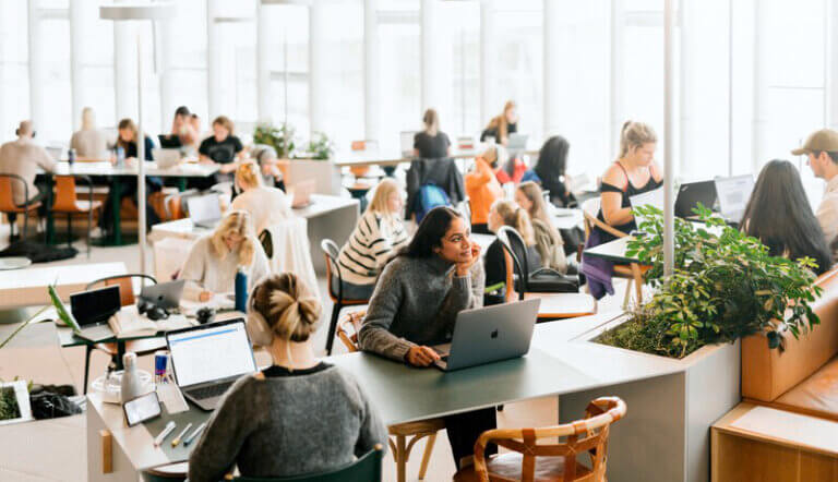 Skole - åpnet landskap, ungdom sitter med pc'er