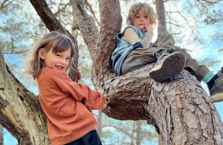 To barn som klater i et tre